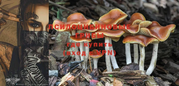 mdpv Абинск