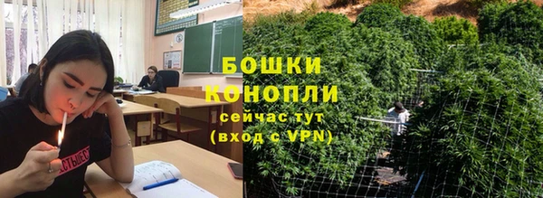 стаф Абаза