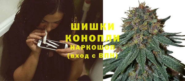 тгк Осташков