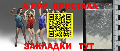 шишки Кандалакша