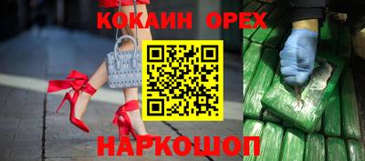 шишки Кандалакша