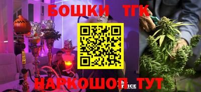 гидропоника Канаш