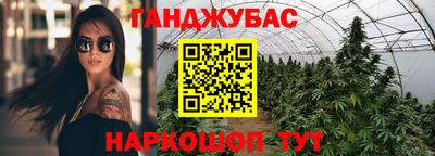 шишки Кандалакша