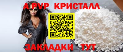 шишки Кандалакша